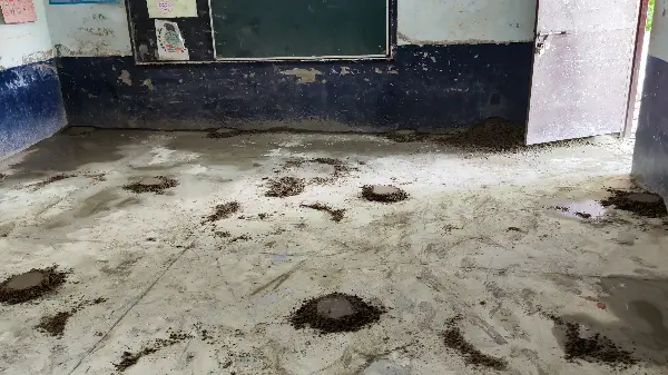 Before Govt. Middle School - Ballo Majra (Mohali)